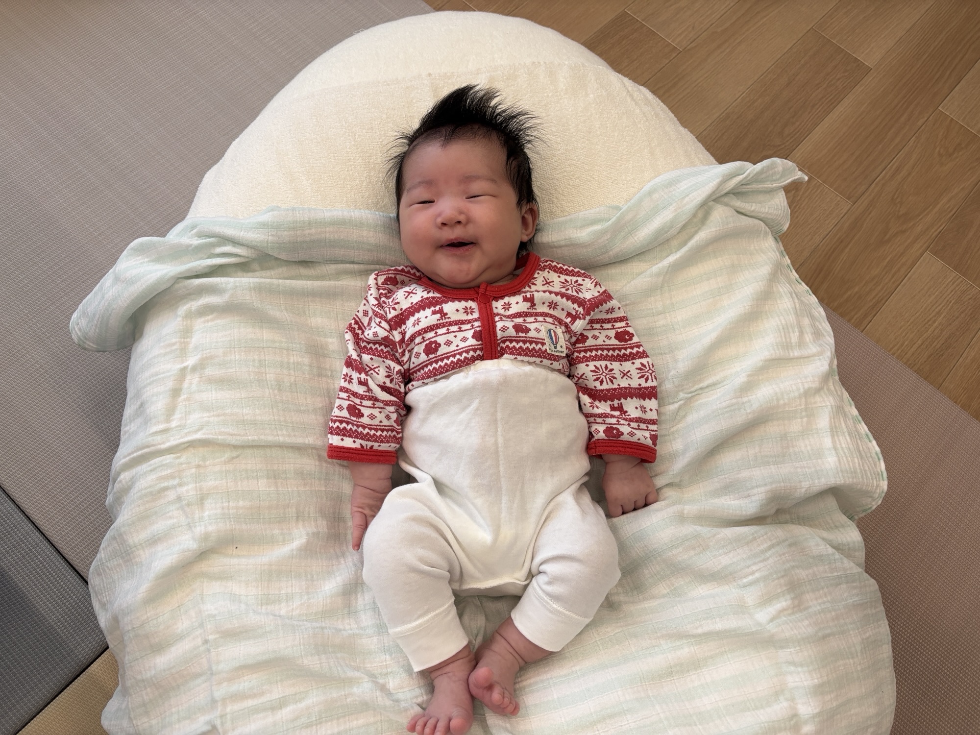 今週のMOMME(11/10~)