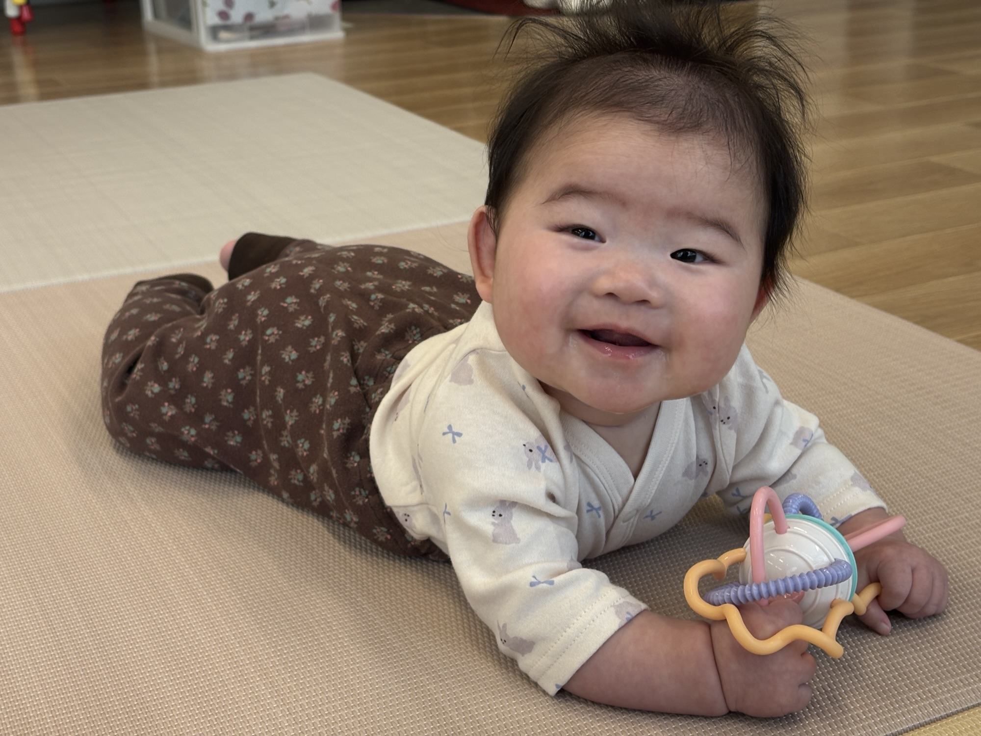 今週のMOMME（12/1～）