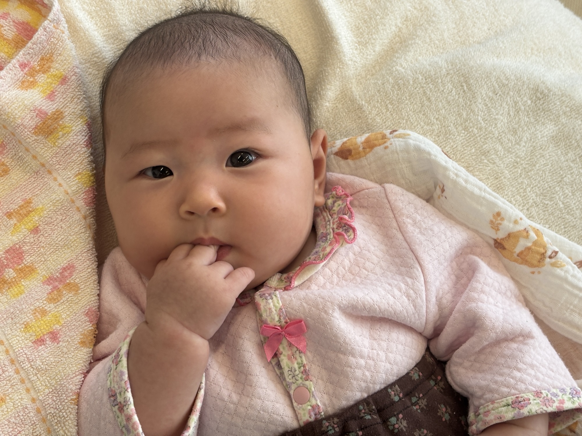 今週のMOMME（12/8～）