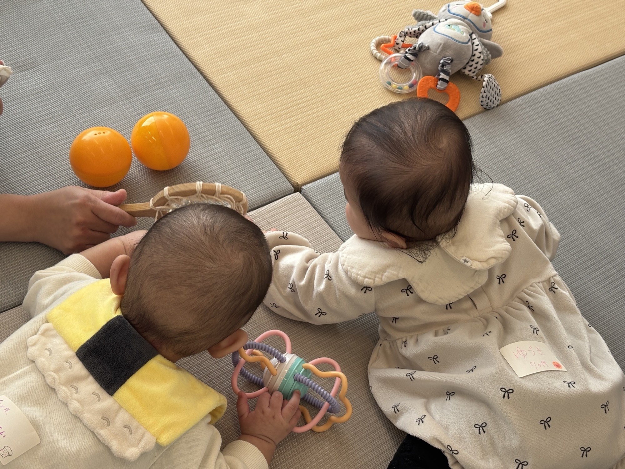 今週のMOMME(2/16〜)