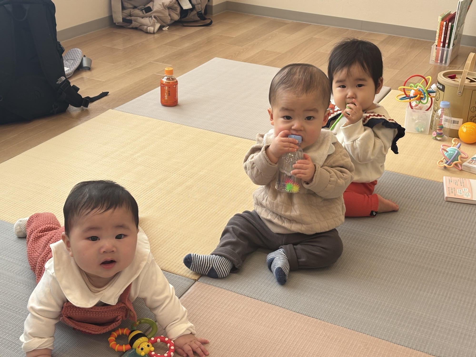 今週のMOMME(2/24~)